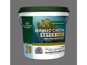 ����׿���