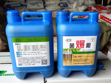 ������ǿ��������